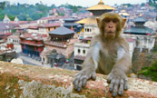 Un village au Nepal