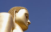 Buddah gant a Dambulla